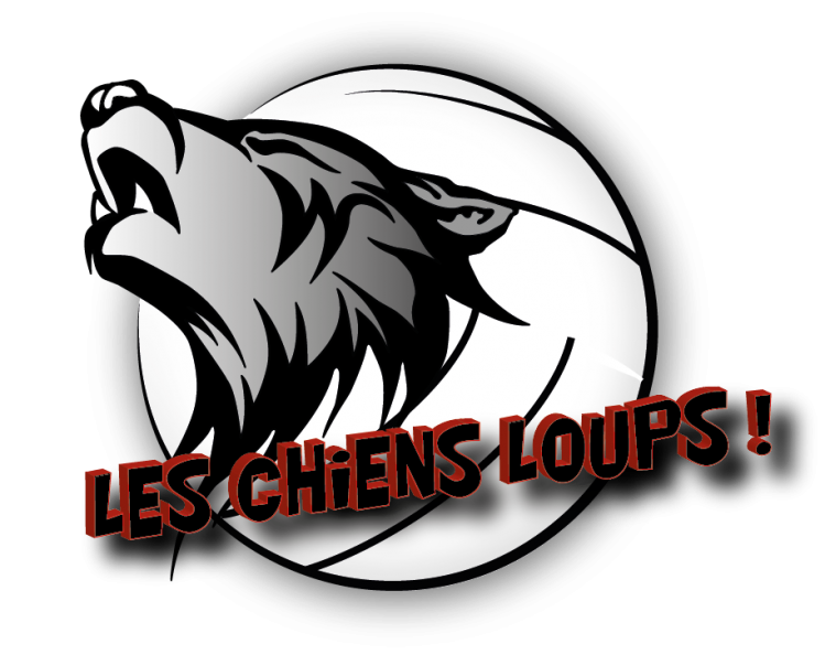 Chien loup